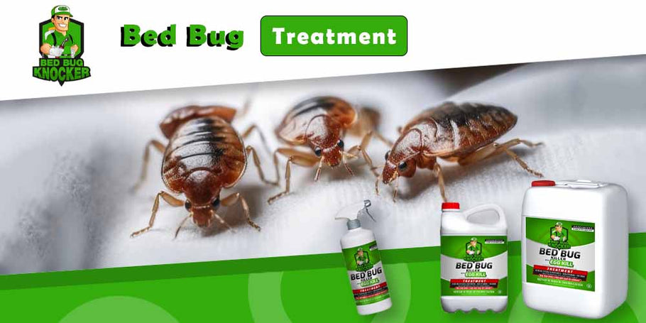 Ktorý produkt na boj proti švábom je bezpečný pre ľudské zdravie?