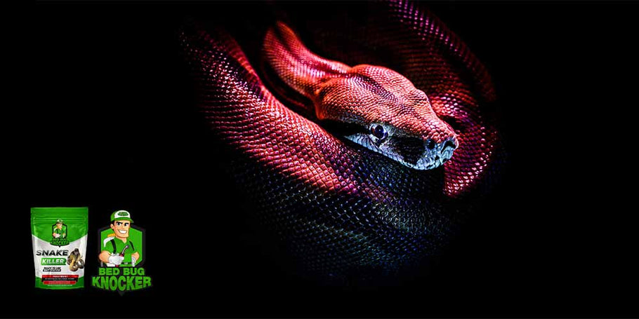 Aký je najuspokojivejší repelent proti hadom?